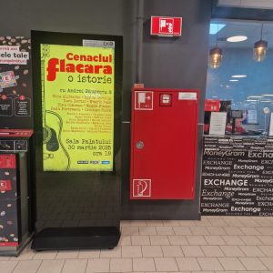 Impact vizual EkoGroup: Eduard Petrescu creează succesul